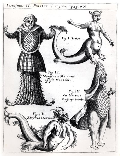 Mostri marini, illustrazione da Physica Curiosa di Gaspar Schott S.J. (1608-66), pubblicata a Würzburg 1662 da German School