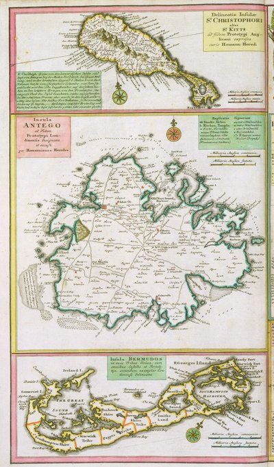 St. Kitts, Antigua e Bermuda, dettaglio di una mappa delle colonie inglesi nei Caraibi, pub. dagli Eredi di Homann, Norimberga, c.1750 da German School