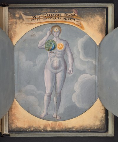 Tavole che rappresentano l