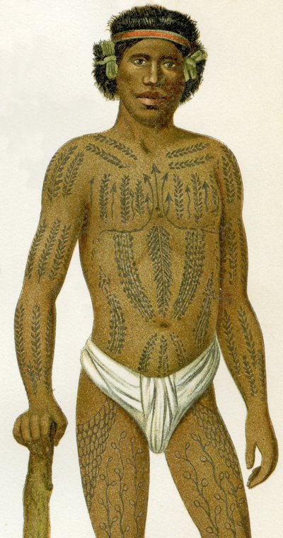 Uomo tatuato delle Isole Caroline, 1894 da German School