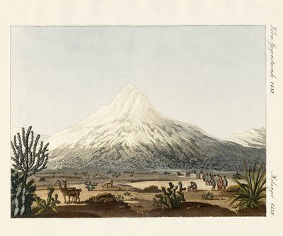 Il Chimborazo in Sud America da German School
