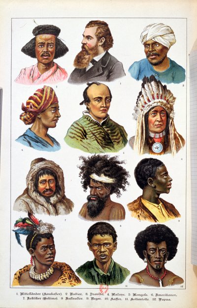 Le diverse razze umane, da Storia Naturale del Regno Animale di Gotthelf Heinrich von Schubert, 1861 da German School
