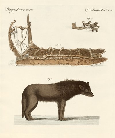 Il cane della Baia di Baffin da German School