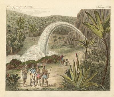 La fonte dell