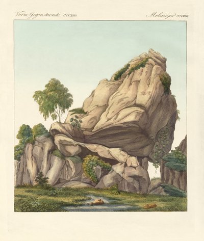 Il presunto fossile di Reuter di Fontainebleau da German School