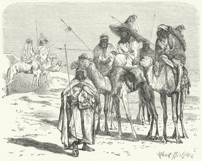 Tuareg (incisione) da German School
