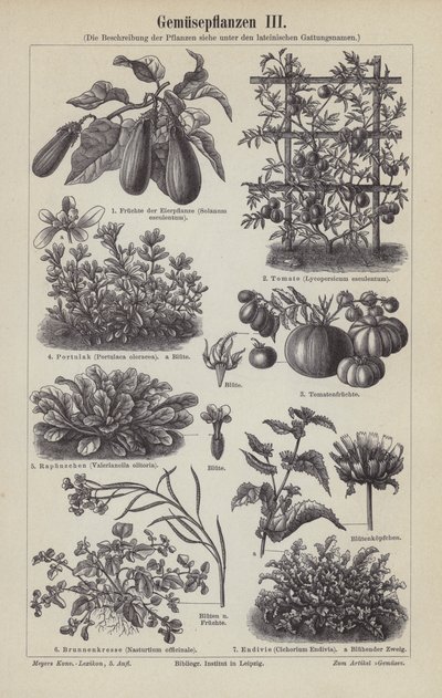 Verdure da German School