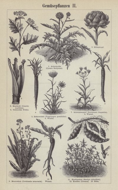 Verdure da German School