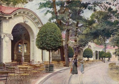 Sala da caffè viennese, Giardino Zoologico di Berlino, Germania (litografia a colori) da German School