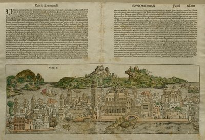 Veduta di Venezia, illustrazione dal Liber Chronicarum di Hartmann Schedel (1440-1514) pubblicata a Norimberga, 1493 da German School