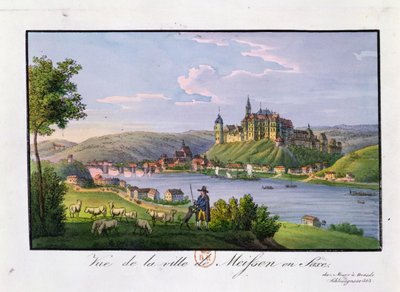 Veduta della città di Meissen, luogo di nascita di Christian Samuel Hannemann (1755-1843) da German School