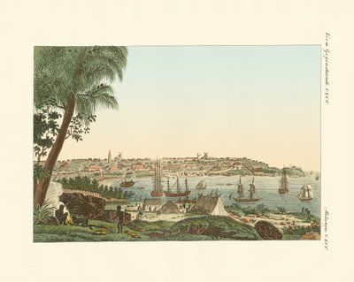 Vedute della città di Sydney (incisione colorata) da German School