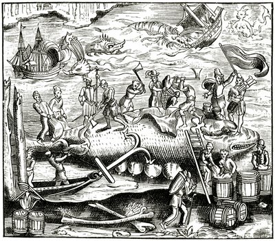 Pesca alla balena, da un