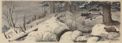 Paesaggio invernale in Canada da German School