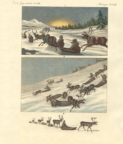 Viaggi invernali in Lapponia da German School
