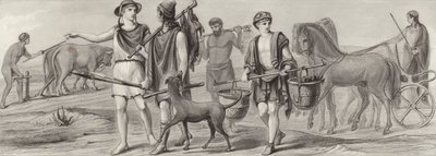 Lavoro e occupazioni nell