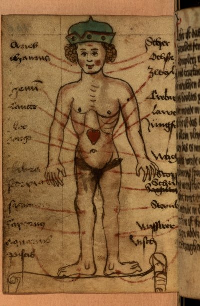 Diagramma zodiacale che mostra la posizione del cuore, da una raccolta di preghiere e figure astrologiche da German School