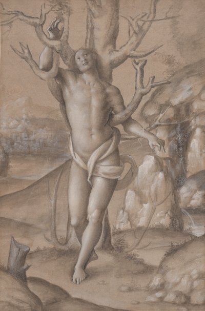 San Sebastiano, ca. 1524 da Gerolamo Giovenone