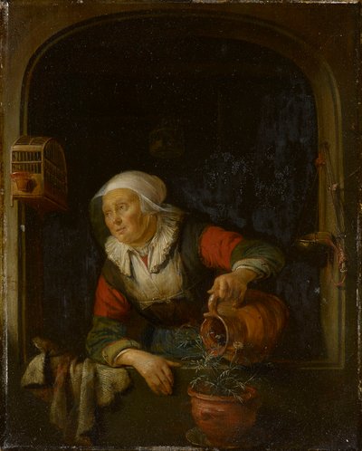 Una donna anziana che innaffia un vaso di rose da Gerrit Dou