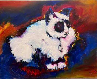 Il gatto Bungee da Gerrit Greve