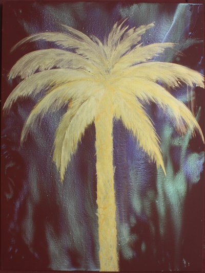 Palma d