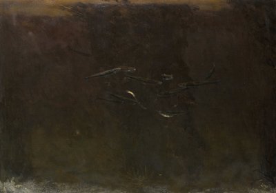 Pesci in un acquario da Gerrit Willem Dijsselhof