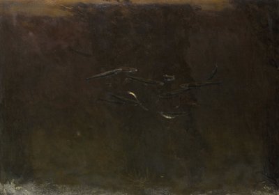 Pesci in acquario da Gerrit Willem Dijsselhof