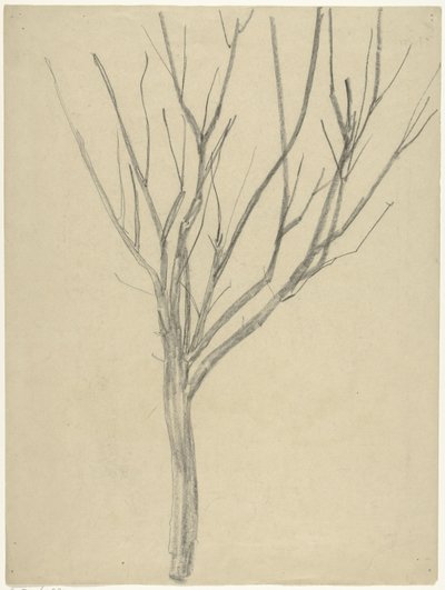 Albero spoglio da Gerrit Willem Dijsselhof