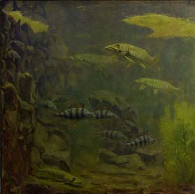 Luccio e persico in un acquario da Gerrit Willem Dijsselhof