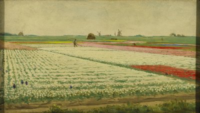 Campi di tulipani da Gerrit Willem Dijsselhof