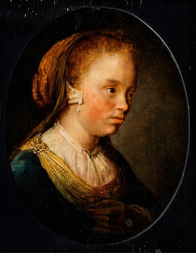 Ritratto di una giovane ragazza da Gerrit or Gerard Dou