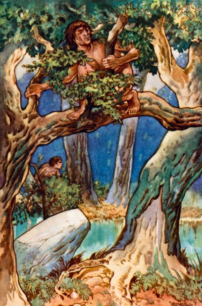 Tanto, tanto, tanto tempo fa, uomo nella foresta e nella palude da Gertrude Hamilton