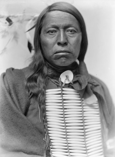 Capo Sioux Flying Hawk, c.1900 da Gertrude Käsebier