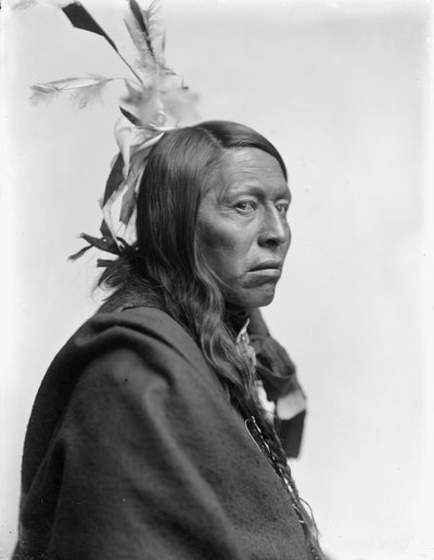 Capo Sioux Flying Hawk, c.1900 da Gertrude Käsebier