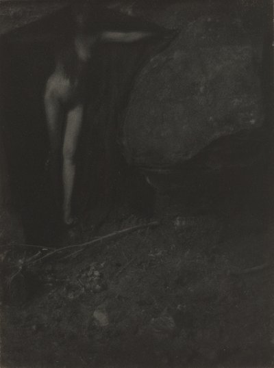 Il pipistrello da Gertrude Käsebier