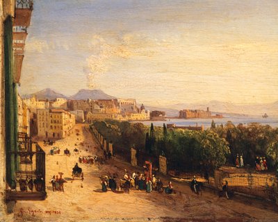 Riviera di Chiaia a Napoli da Giacinto Gigante