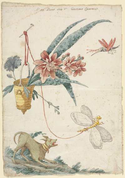 Design floreale con cane e insetti da Giacomo Cavenezia