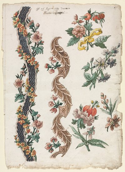 Disegni floreali e fasce floreali da Giacomo Cavenezia