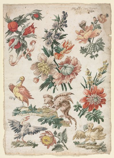 Disegni floreali con uccelli e grifone, 1784 da Giacomo Cavenezia
