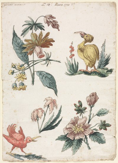 Disegni Floreali con Due Uccelli, 1774 da Giacomo Cavenezia
