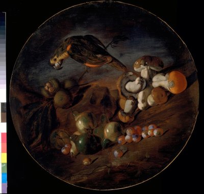 Natura morta con funghi, frutti e pappagallo da Giacomo Fardella de Calvello