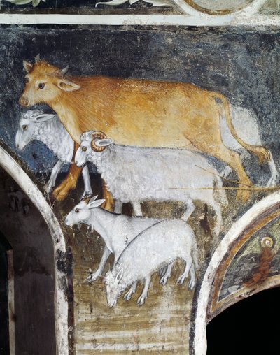 Animali da allevamento, dettaglio dall