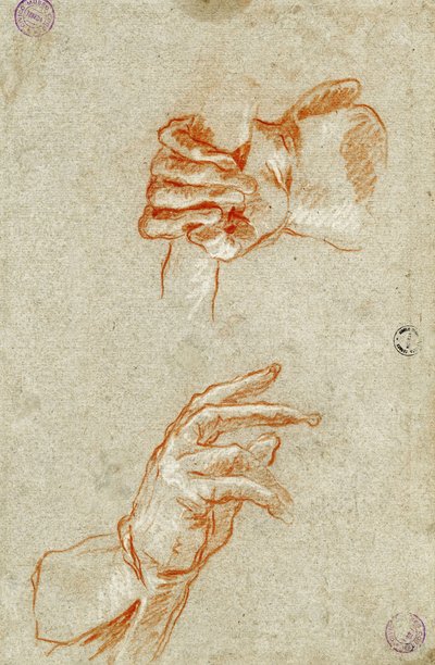 Studio di mani da Giambattista Tiepolo