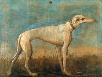 Il levriero italiano da Giambattista Tiepolo