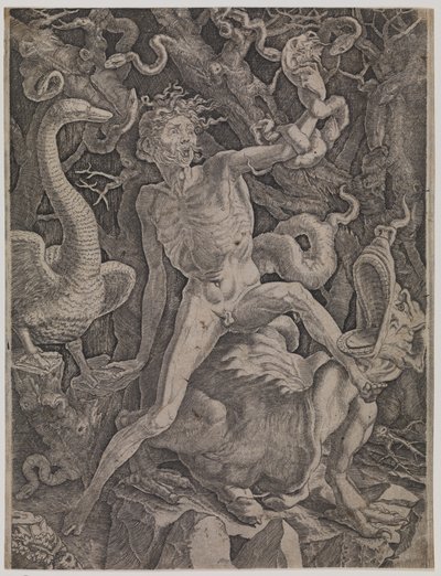 Allegoria della rabbia da Gian Jacopo Caraglio