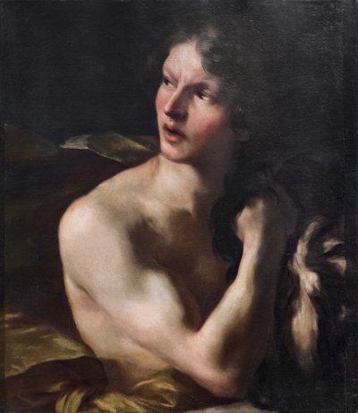 Davide da Gian Lorenzo Bernini
