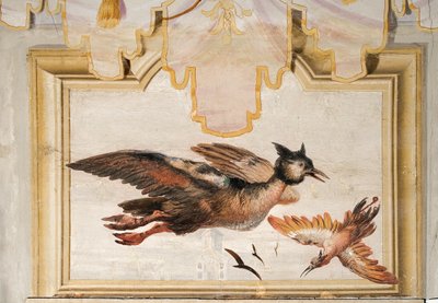 Una Coppia di Uccelli Esotici, dalla Stanza Cinese nella Foresteria, 1757 da Giovanni Domenico Tiepolo