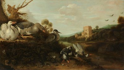 Uccelli acquatici da Gijsbert Gillisz de Hondecoeter