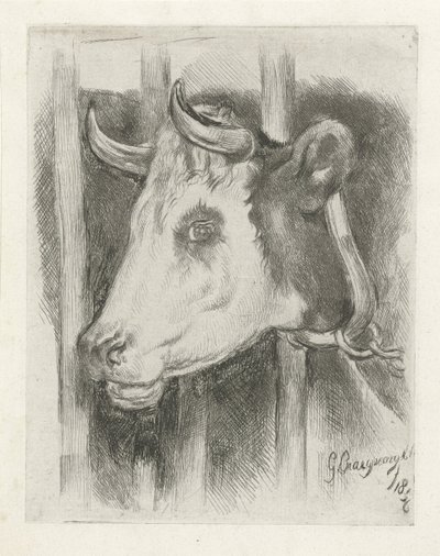Testa di una mucca da Gijsbertus Craeyvanger