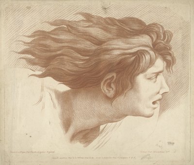 Testa di uomo con capelli svolazzanti da Gilles Demarteau
